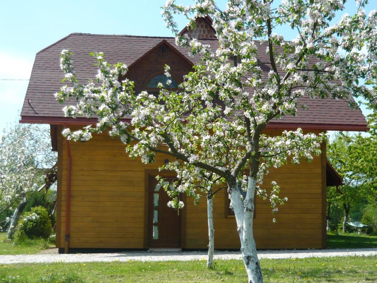 Wichrowe Wzgorze Ferienhaus Dynow