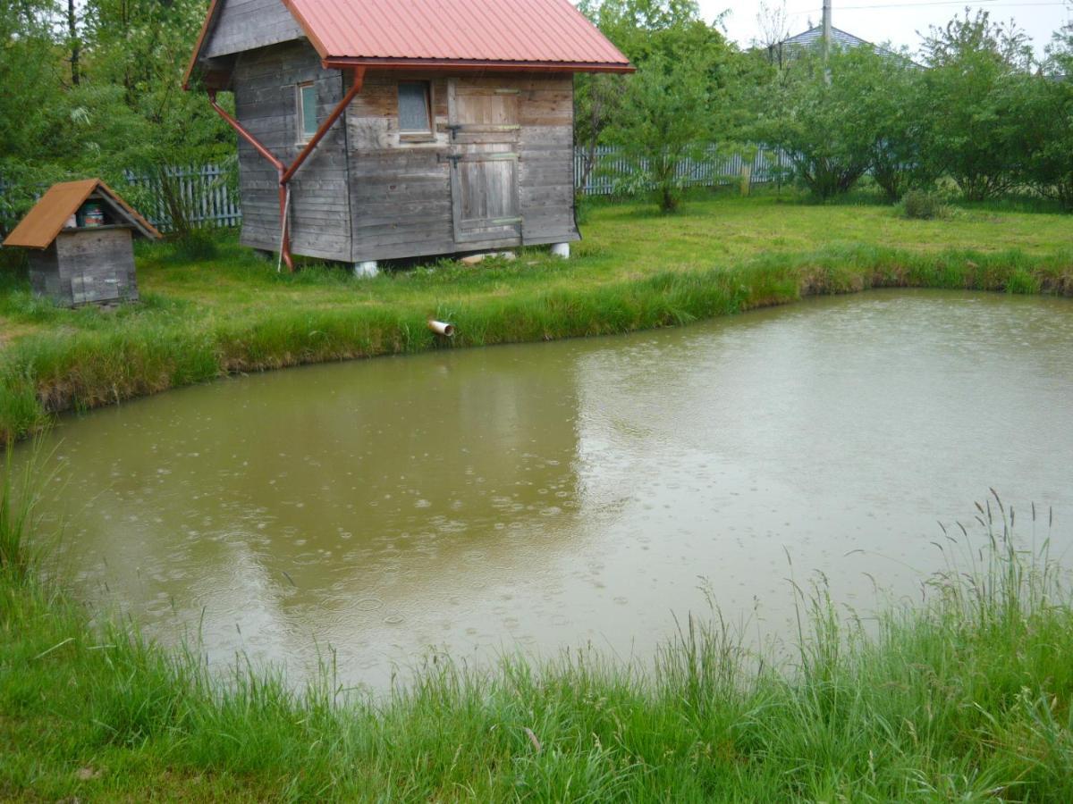 Wichrowe Wzgorze Ferienhaus