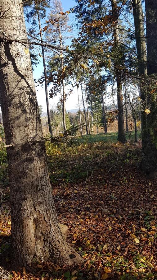 Ferienhaus Wichrowe Wzgorze Dynow