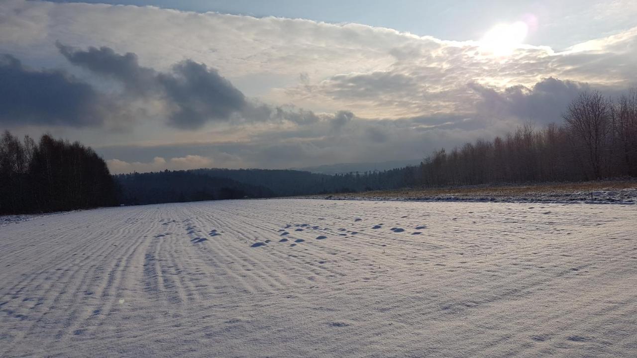Ferienhaus Wichrowe Wzgorze *
